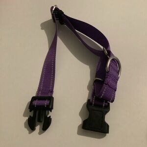 Dog collar